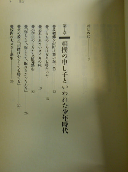 土俵の牛若丸 舞の海