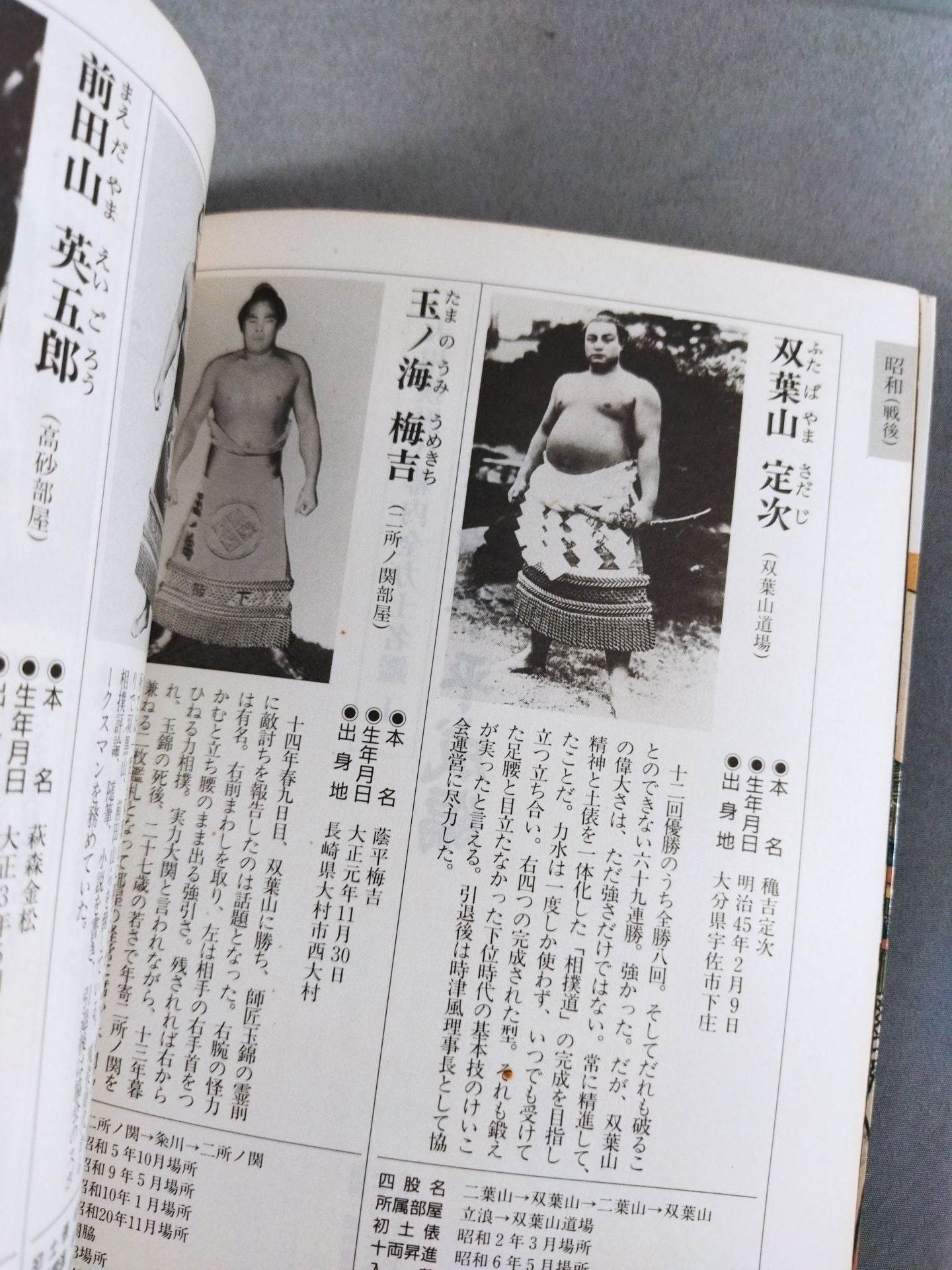 Sumo wrestler  directory [First half of Heisei 5]