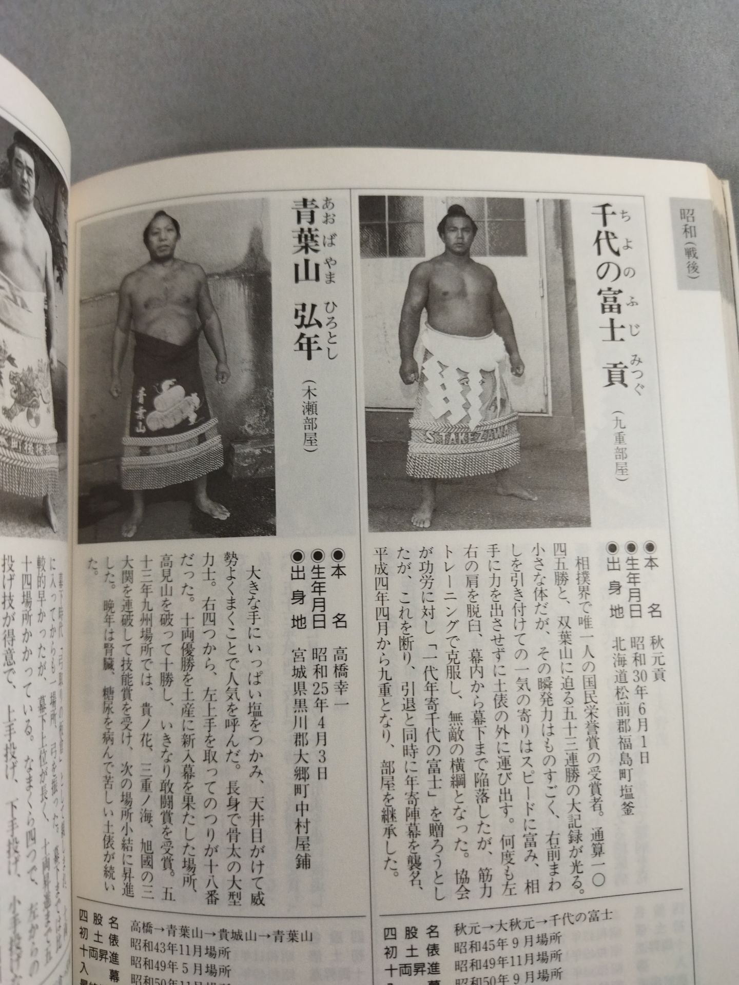 Sumo wrestler  directory [First half of Heisei 5]