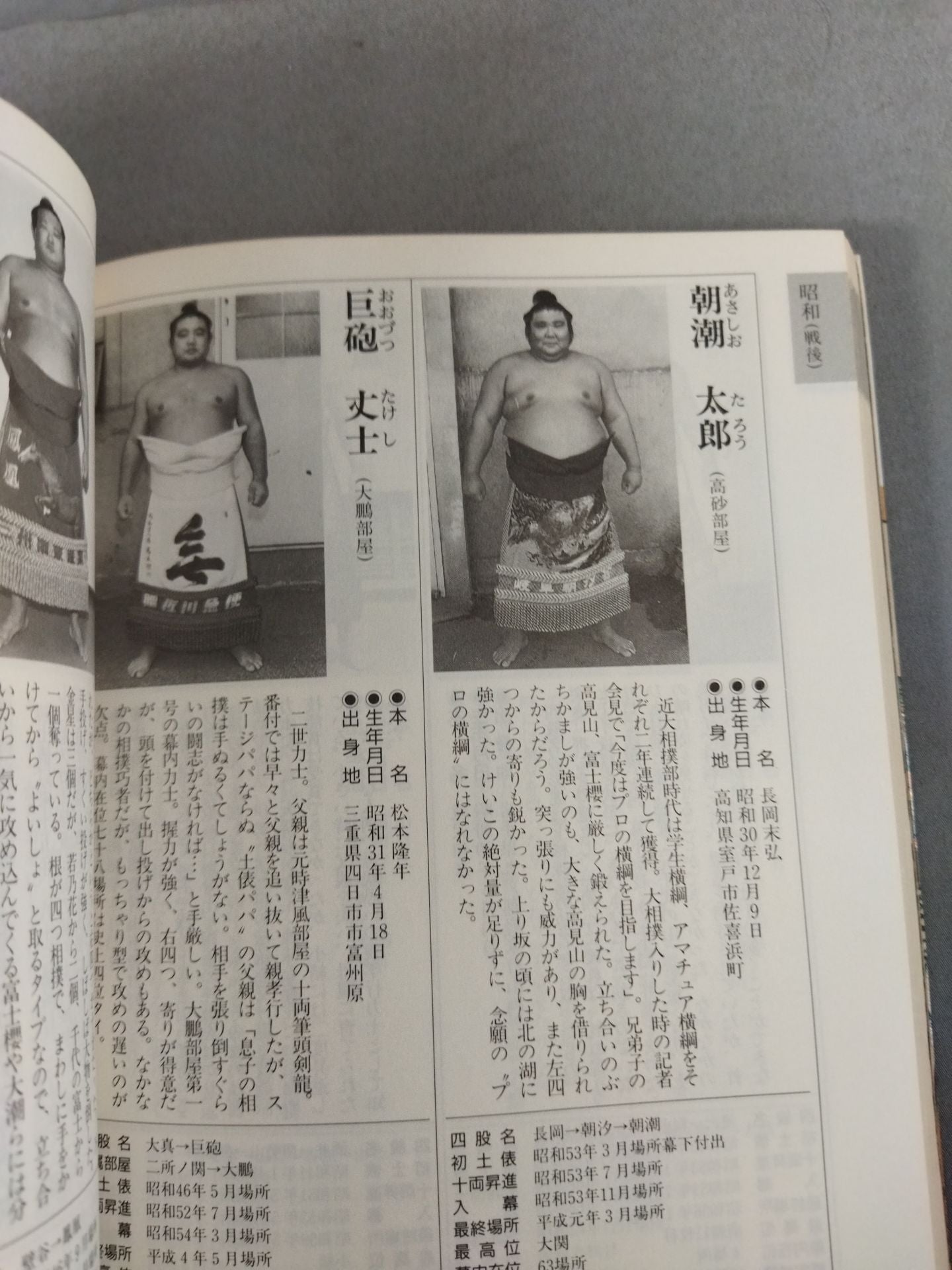 Sumo wrestler  directory [First half of Heisei 5]