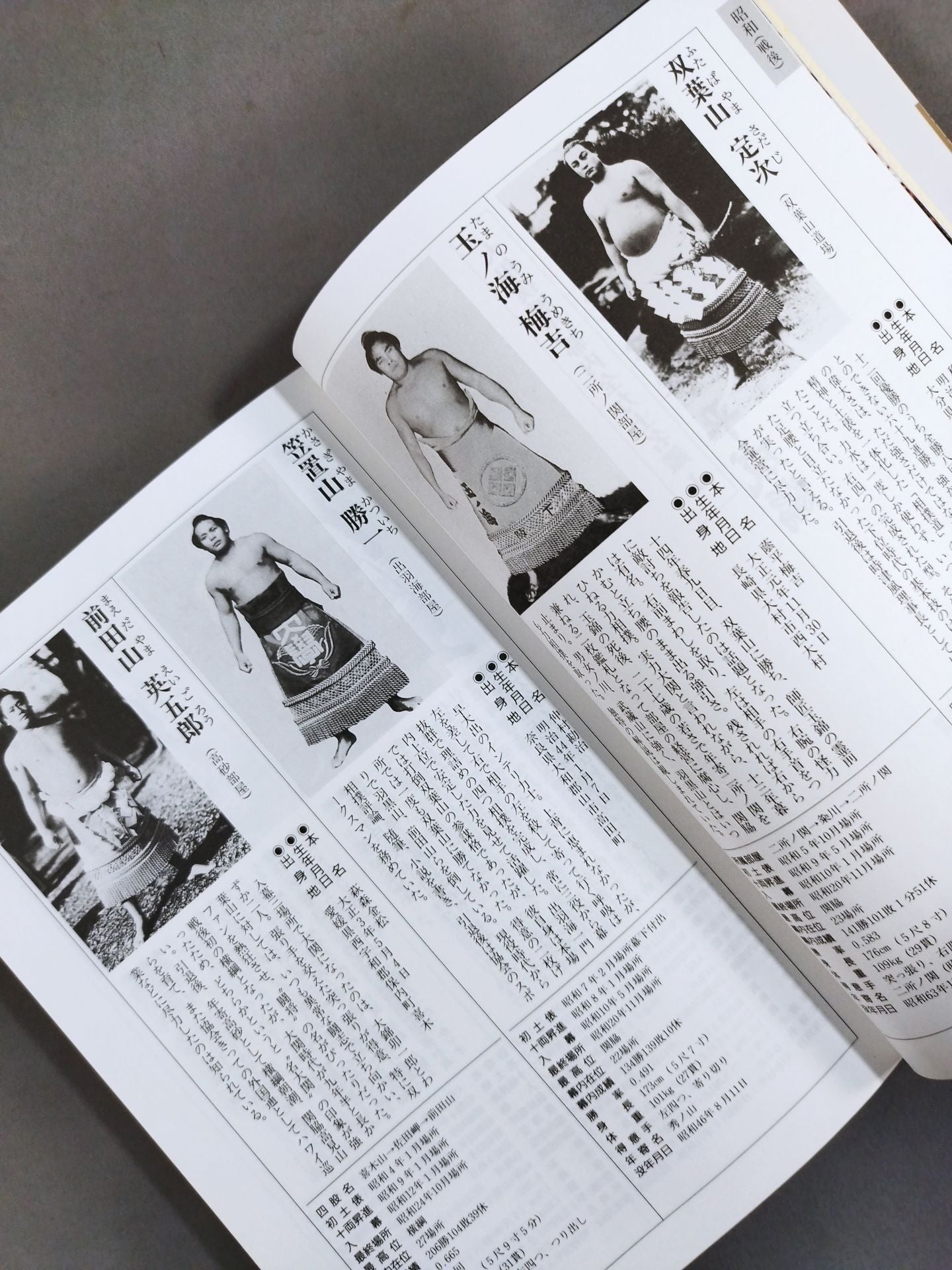 Sumo wrestler  directory [Second half of Heisei 5]