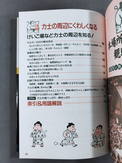 Sumo [Sports Watching Series]