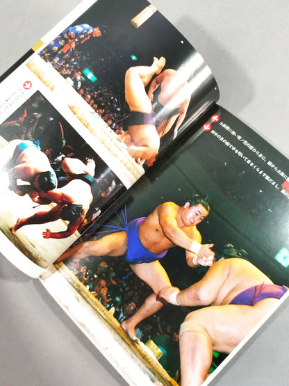 Sumo [Sports Watching Series]