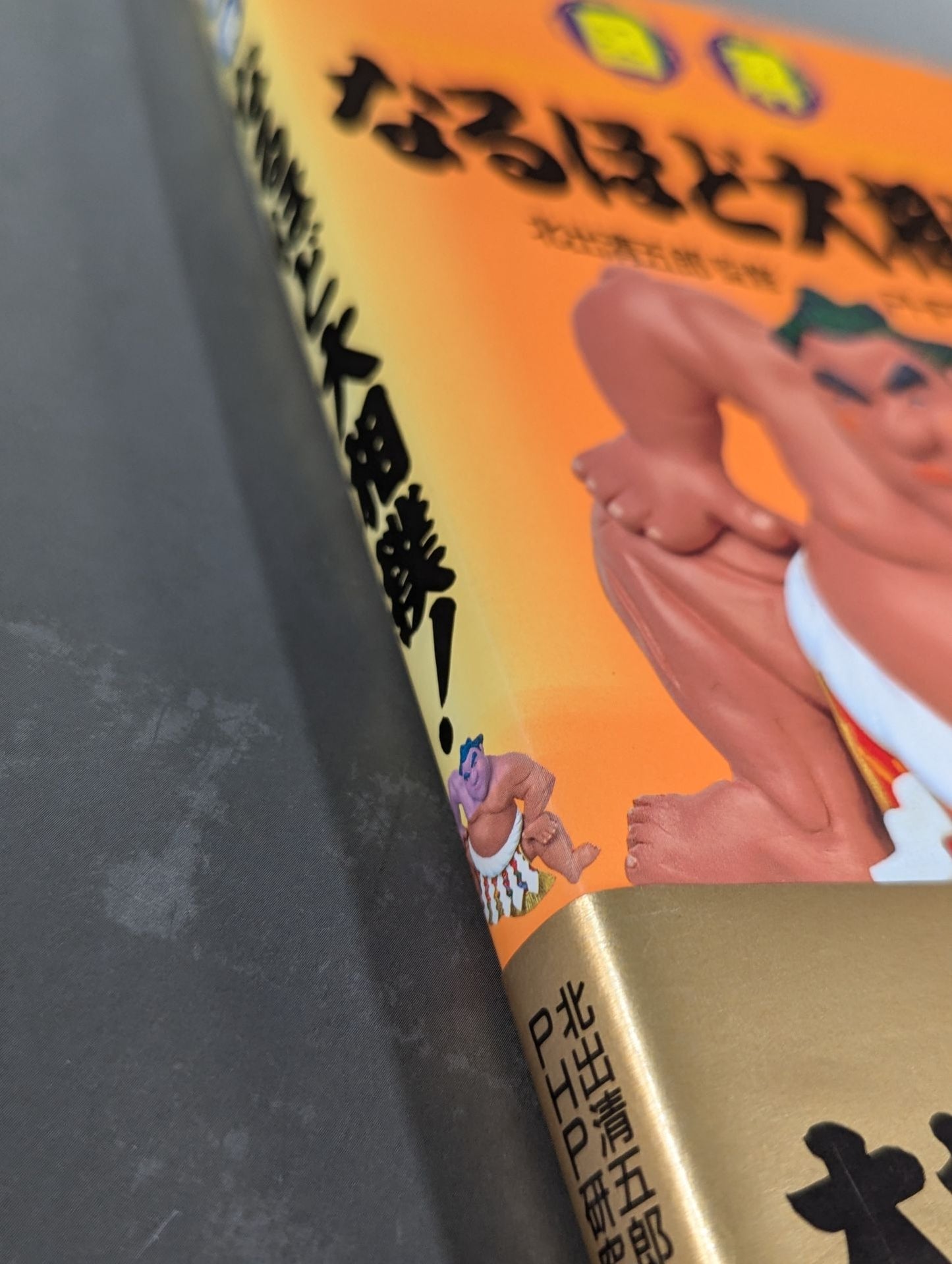 Illustrated sumo wrestling