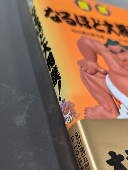 Illustrated sumo wrestling