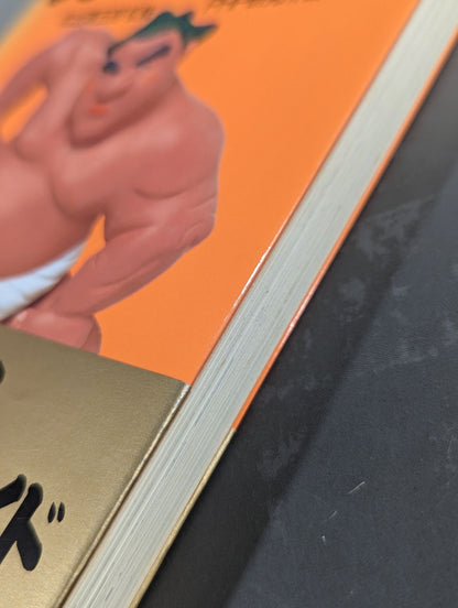 Illustrated sumo wrestling