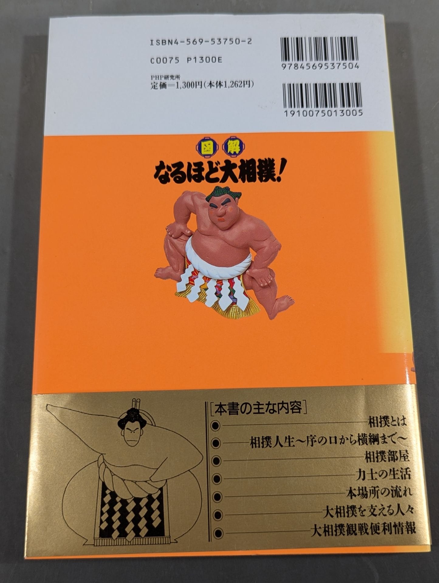 Illustrated sumo wrestling