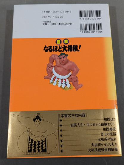 Illustrated sumo wrestling