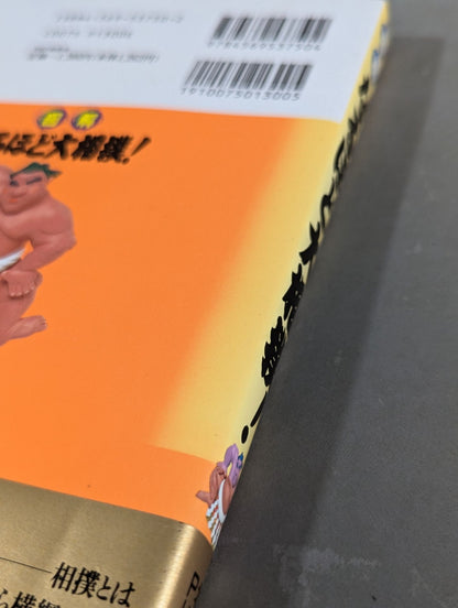 Illustrated sumo wrestling