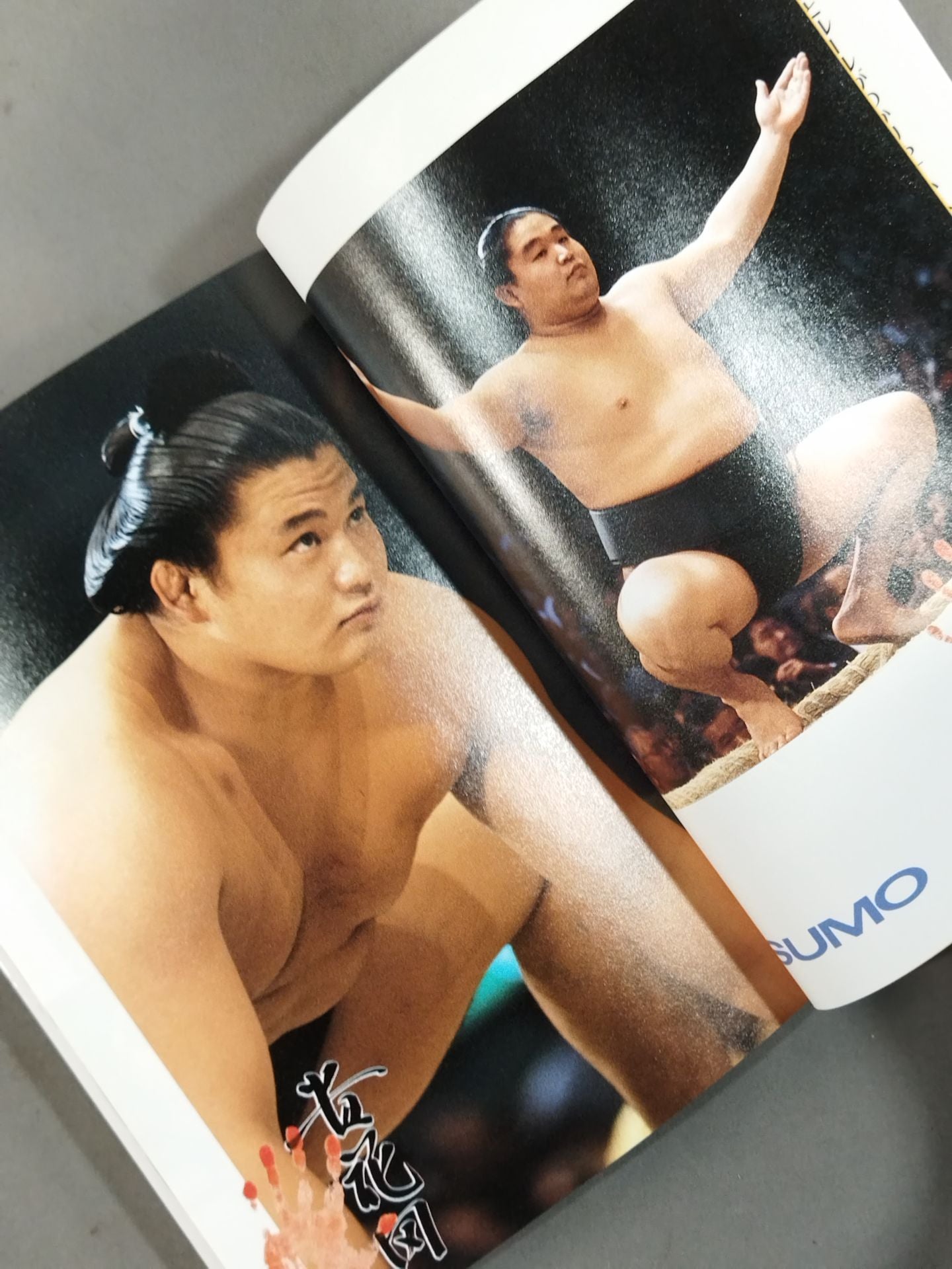Sumo wrestling is fun to watch like this