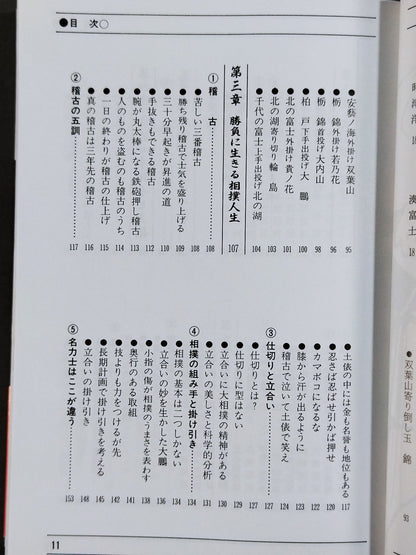 93~94 The Sumo