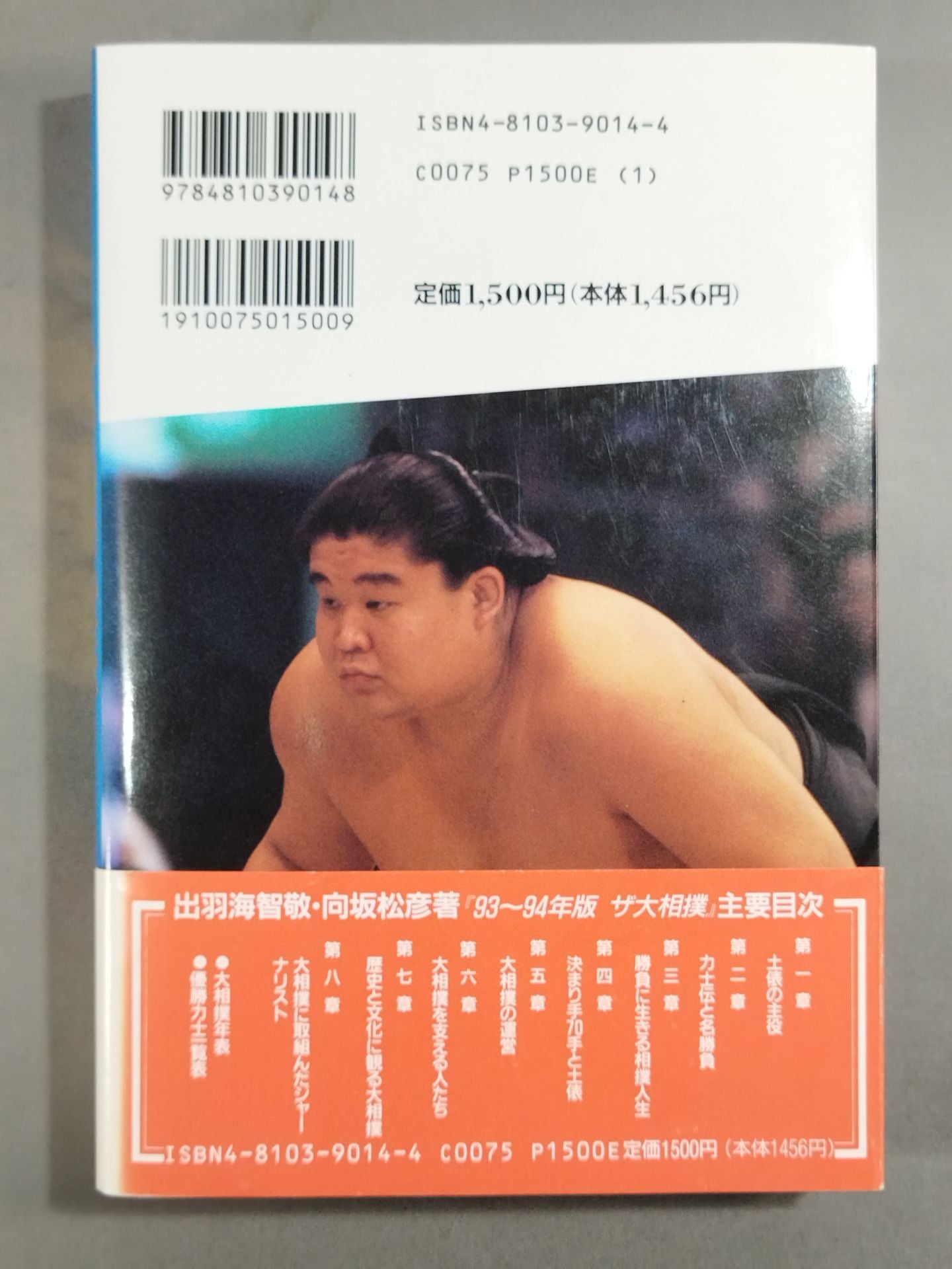 93~94 The Sumo