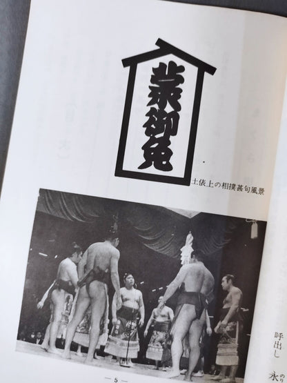 Sumo Wrestling
