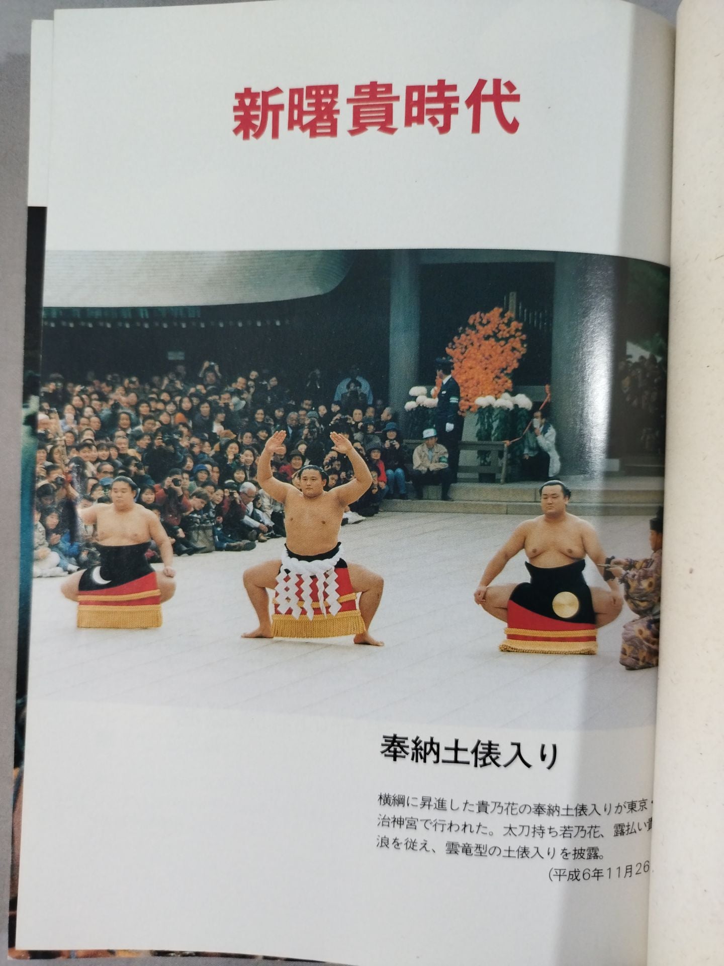 Sumo wrestler  directory [Heisei 7 edition]