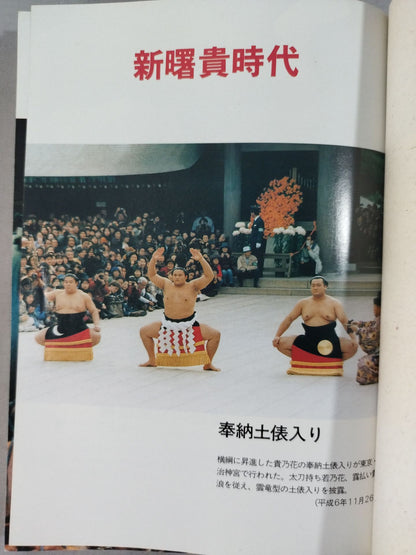Sumo wrestler  directory [Heisei 7 edition]