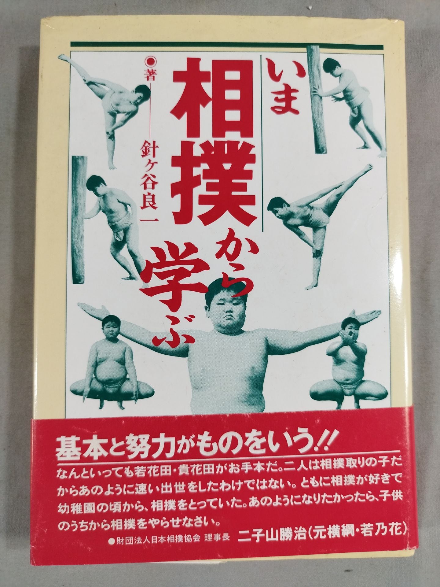 Learning from sumo now