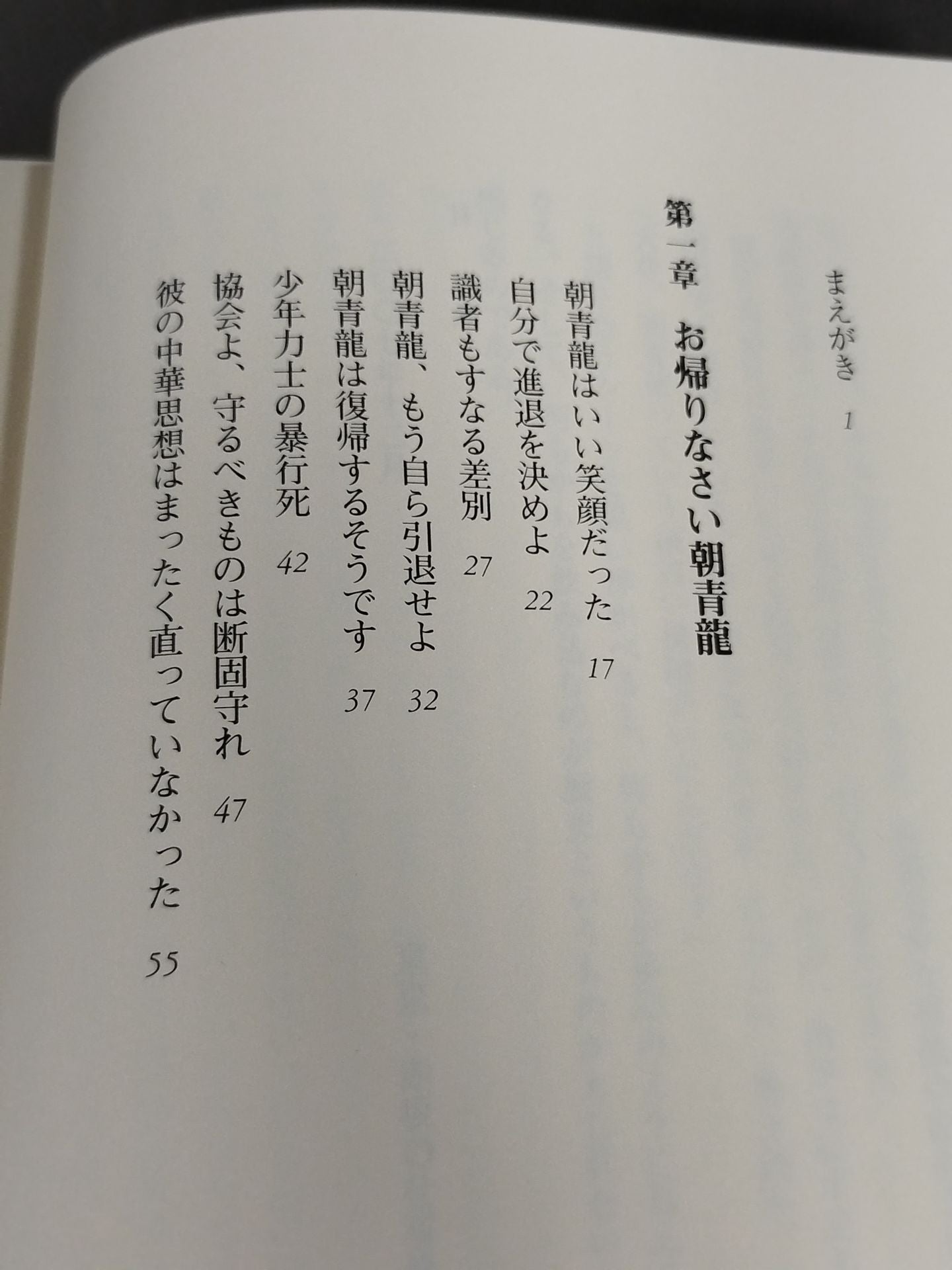 お帰りなさい朝青龍