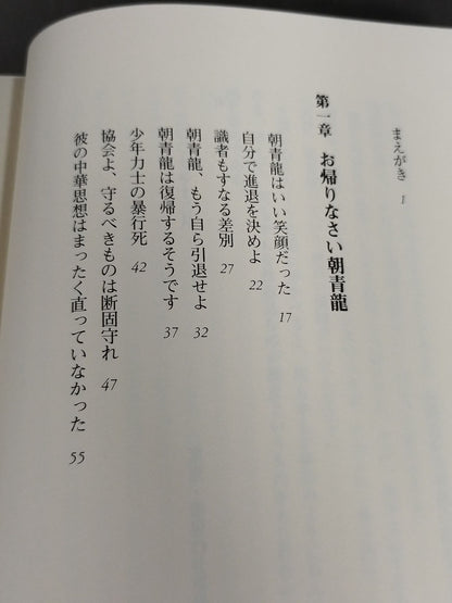 お帰りなさい朝青龍