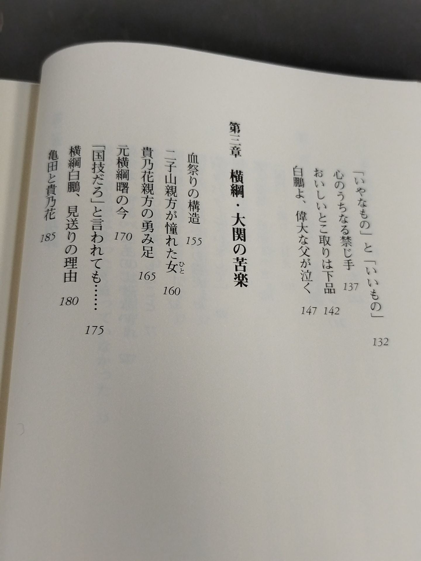 お帰りなさい朝青龍