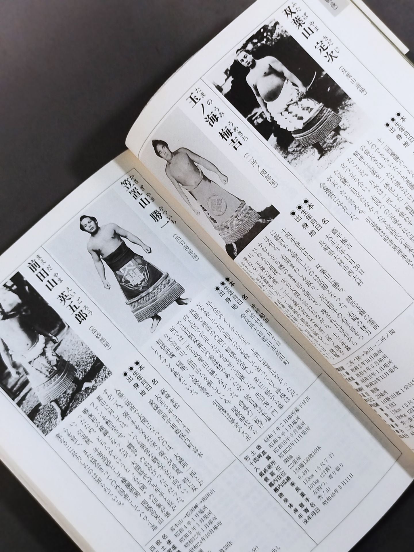 Heisei 10 edition Sumo wrestler  directory