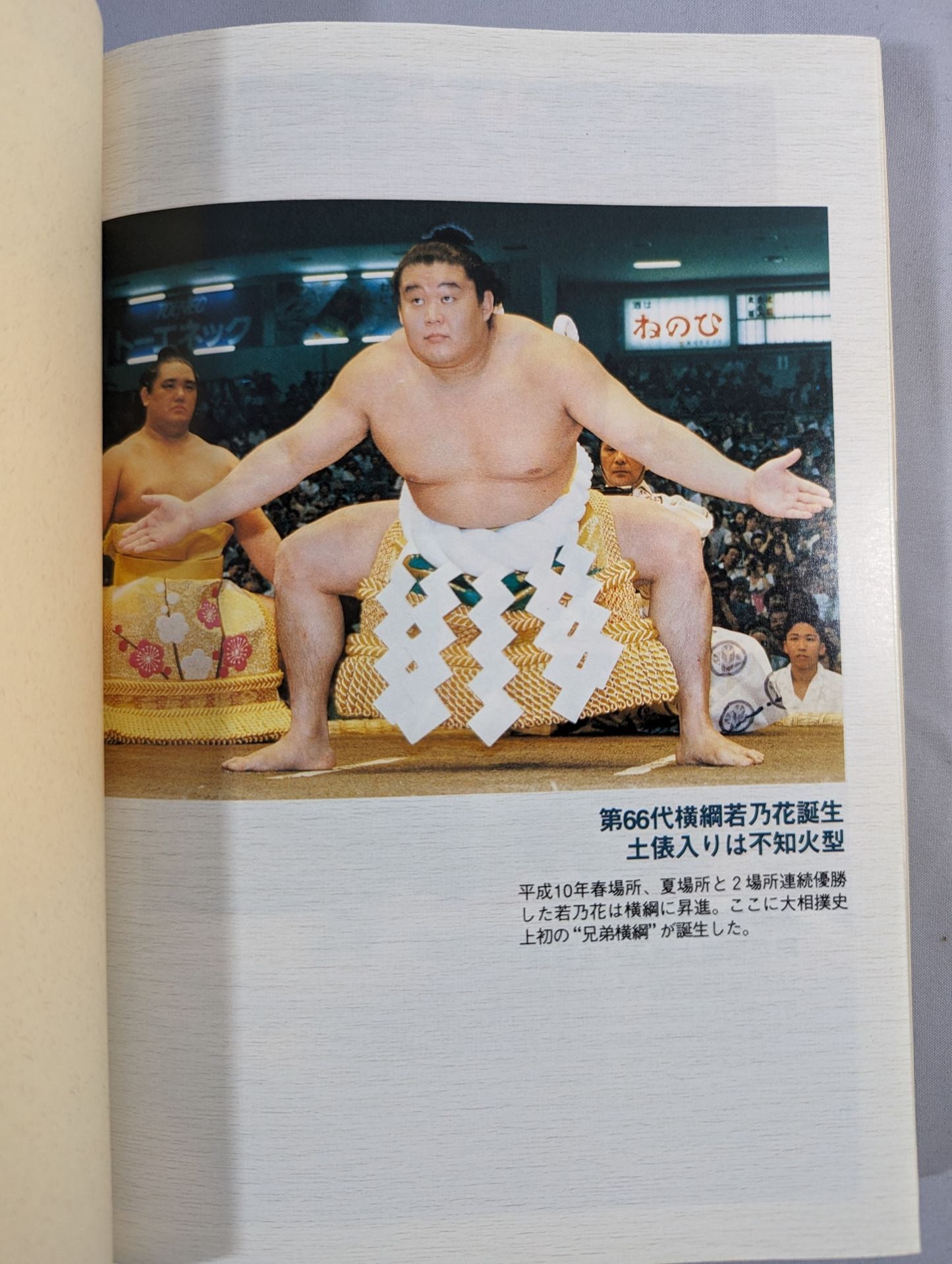 【平成十一年度版】大相撲力士名鑑 明治・大正・昭和・平成の歴代幕内全力士収録