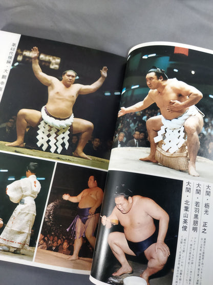 All about the national sport of sumo wrestling