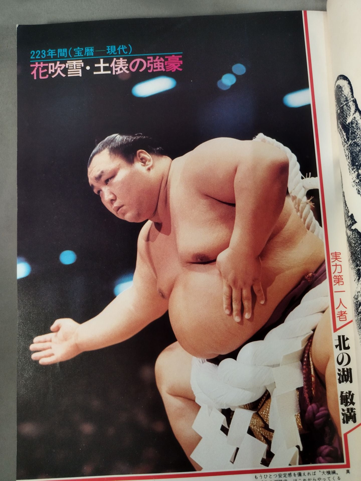 100 Outstanding National Sports Sumo Wrestlers From the Treasure Calendar to the Present Day