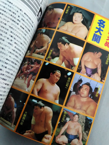 Showa Ozeki: The No. 2 Men Who Created Moving Dramas