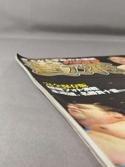 Goodbye Heisei no yokozuna Takanohana  retirement bulletin