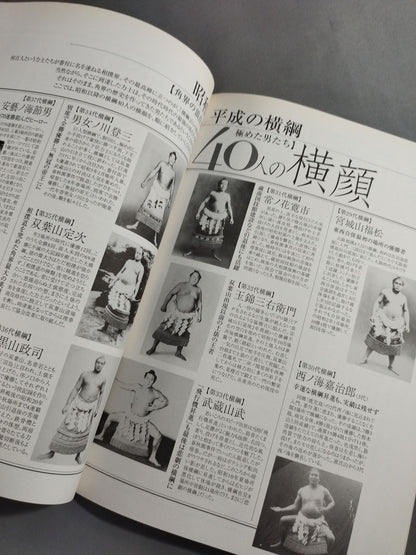 Introduction to Watching Sumo Wrestling for New Fans