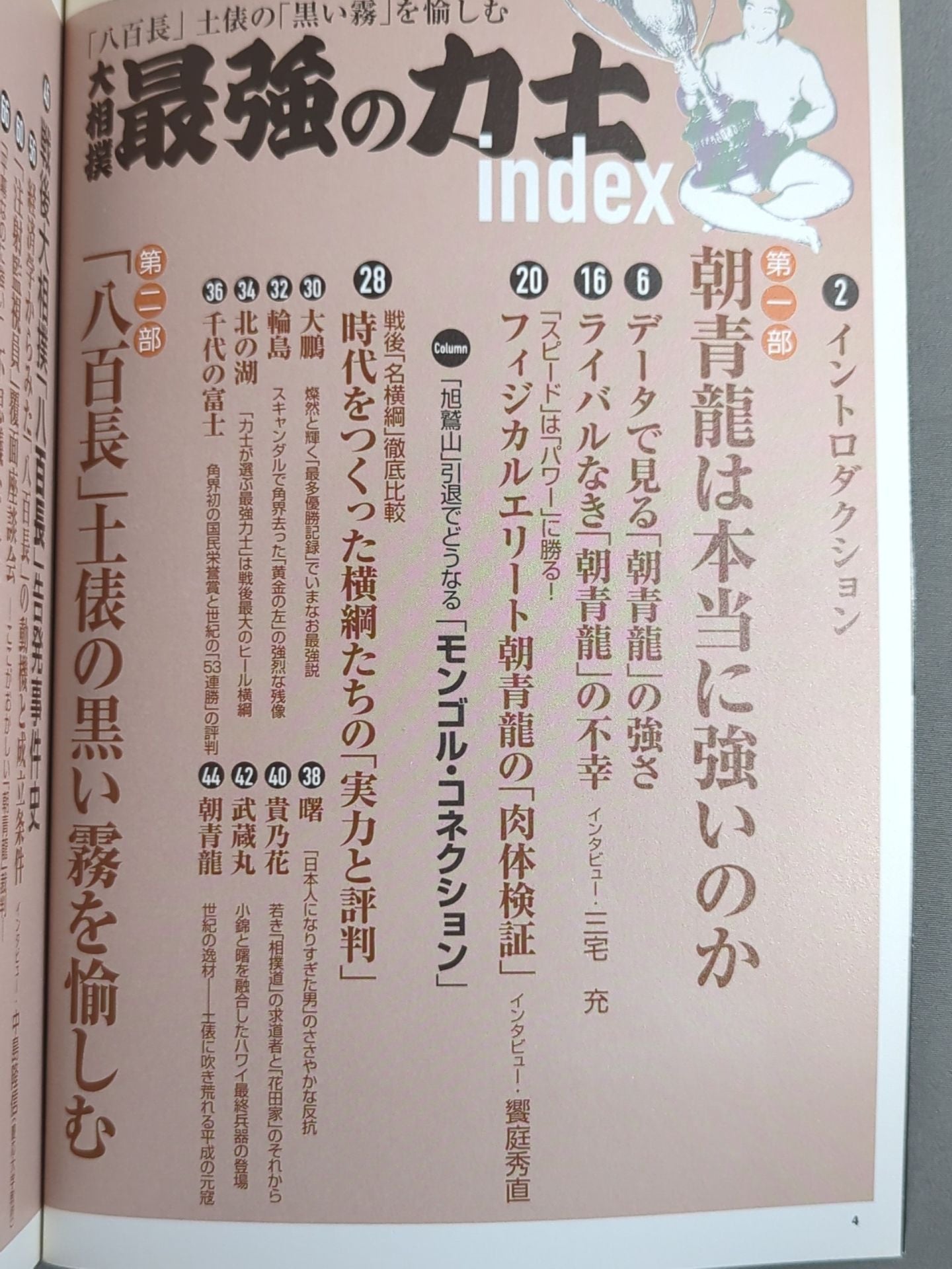 別冊宝島1431 大相撲 最強の力士 ｢八百長｣土俵の｢黒い霧｣を愉しむ