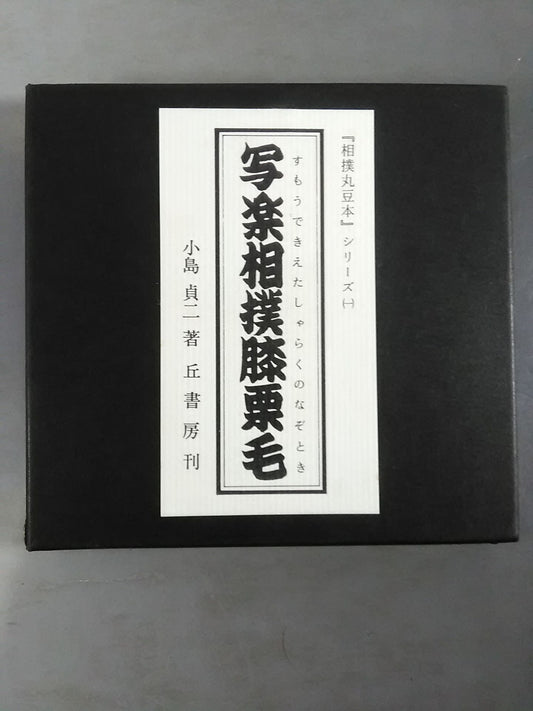 "Sumo Maru Bean Book" Series (1) Sharaku Sumo Knee Chestnut Hair