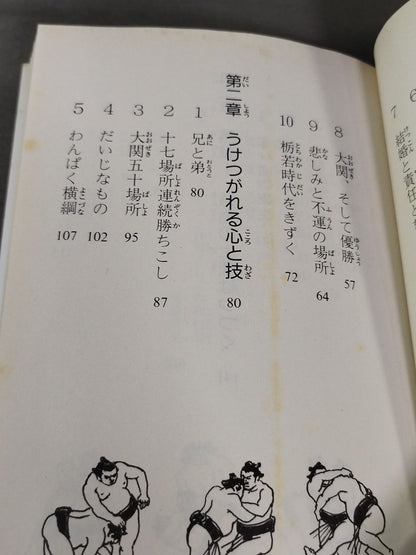 土俵の鬼たち 横綱若乃花から若・貴兄弟へ