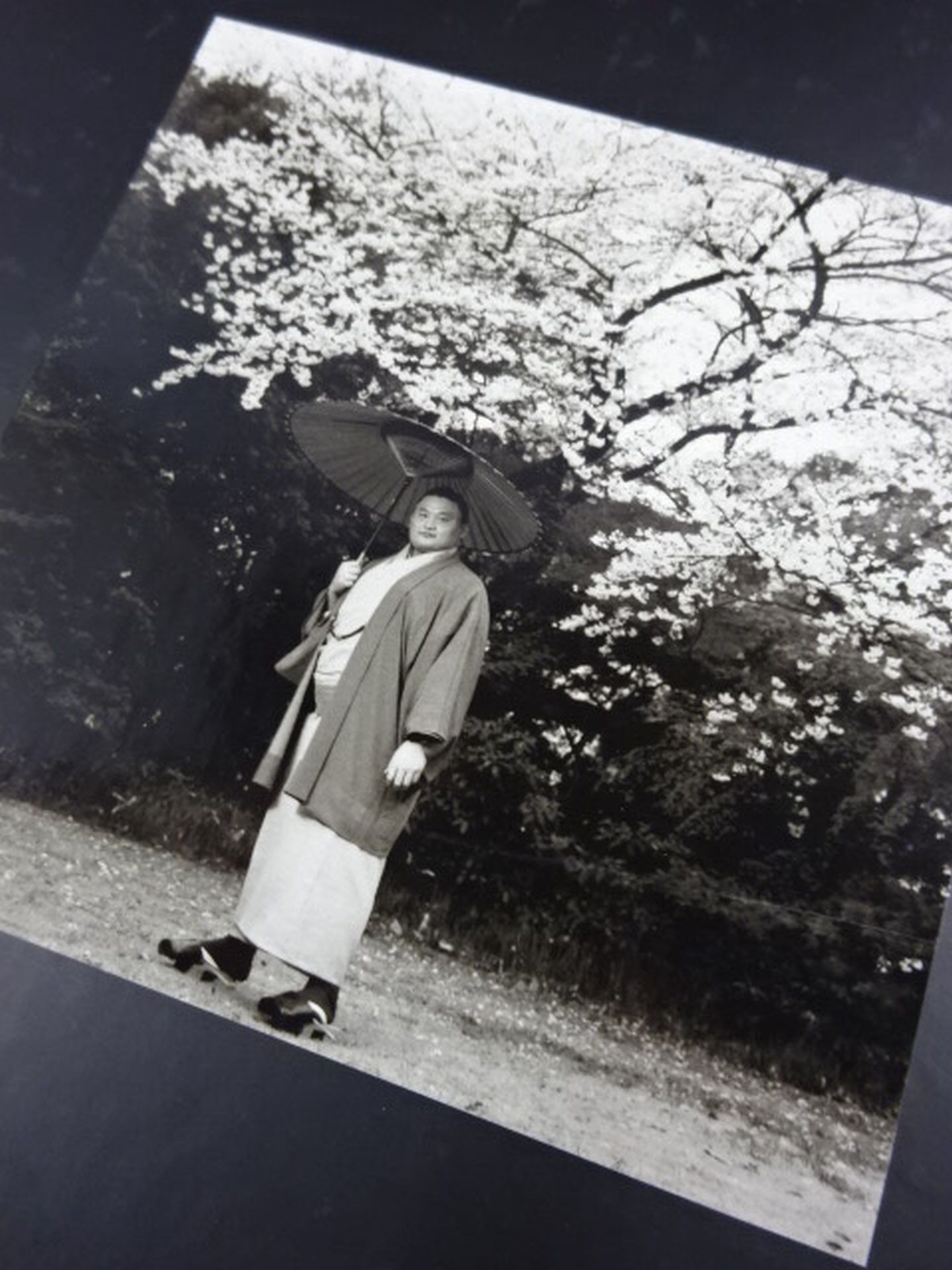 【Yokozuna Takanohana  Retirement Commemorative Photo 】 Takanohana  Road