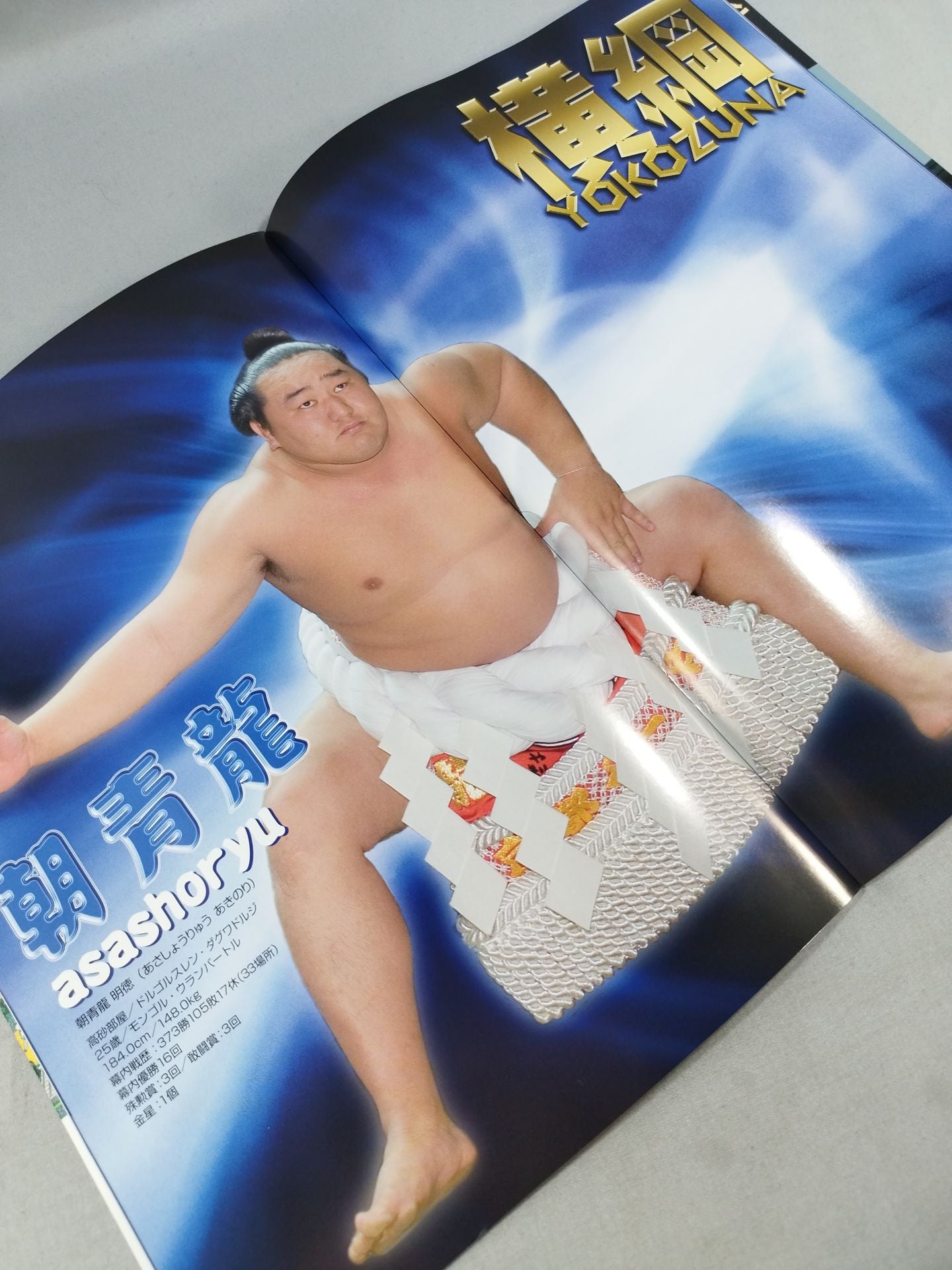 Sumo Strongest Finals 2006