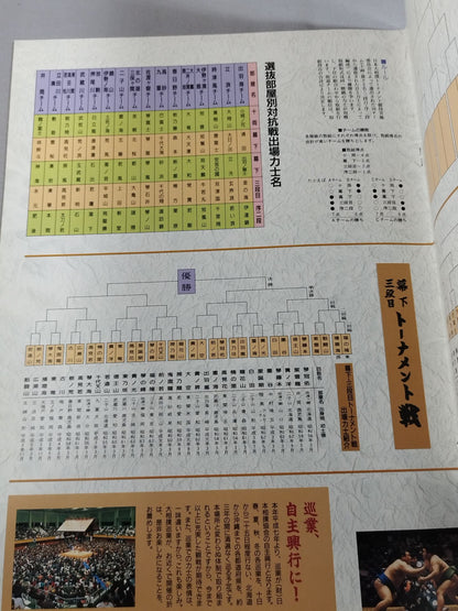 Japan Grand Sumo Tournament 19th