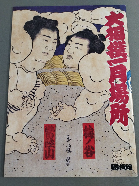 大相撲一月場所(1993年)