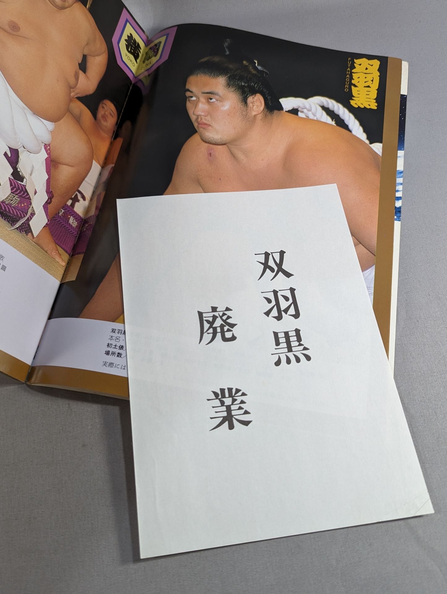 大相撲一月場所(1988年)