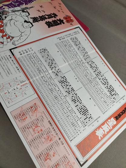 大相撲九月場所(1995年)
