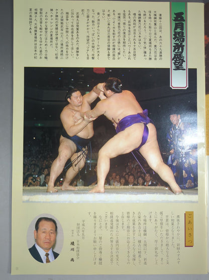 大相撲五月場所(1996年)