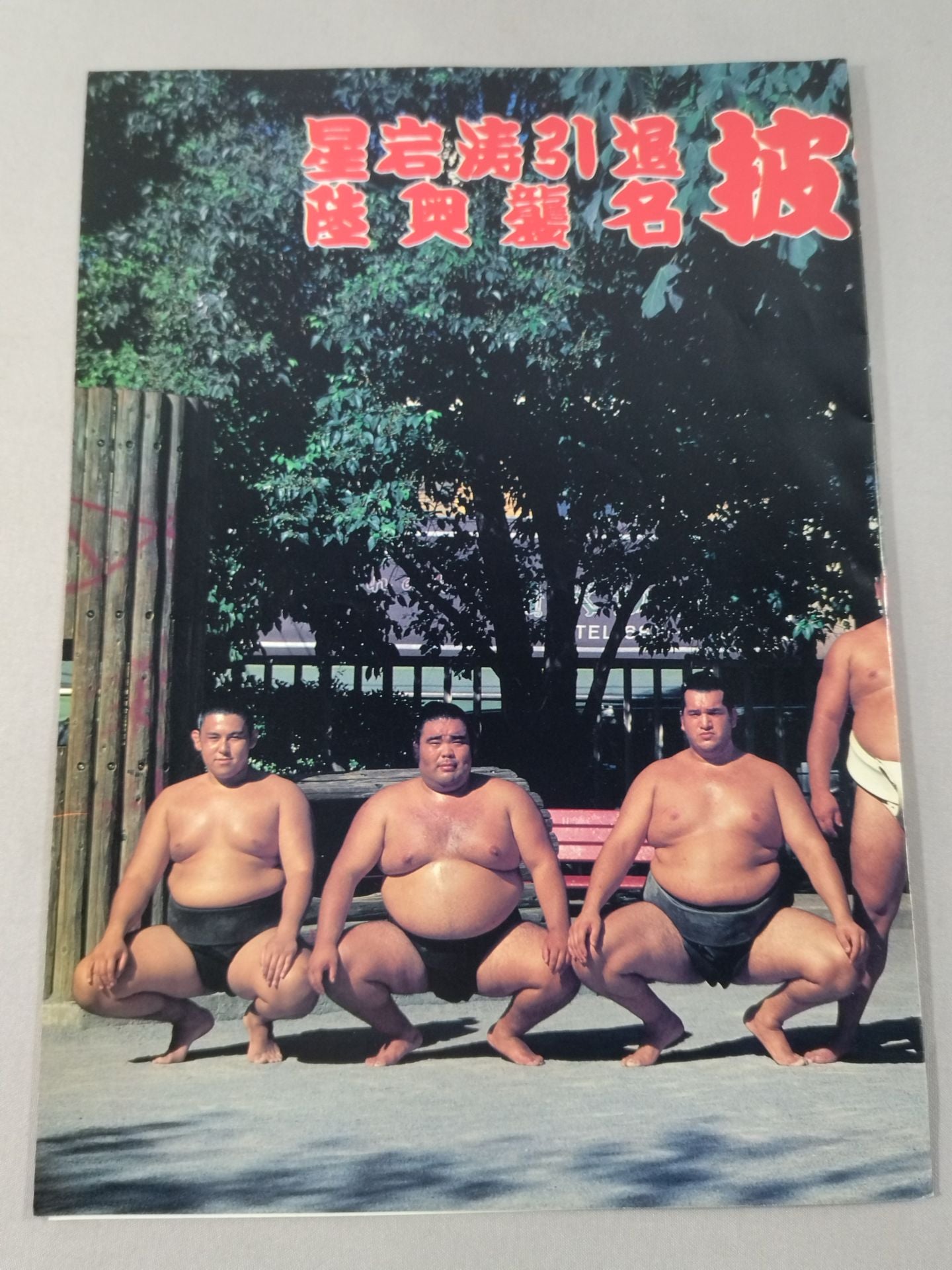 Hoshiiwato retirement, Mutsu raid name list of matches