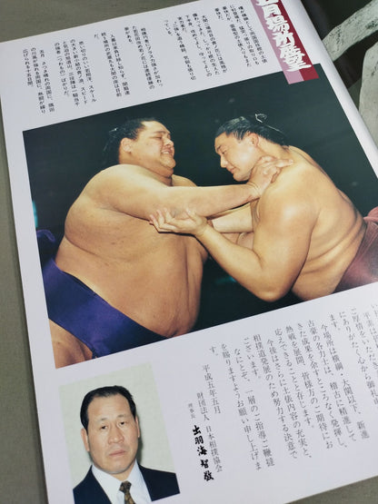 大相撲五月場所(1993年)