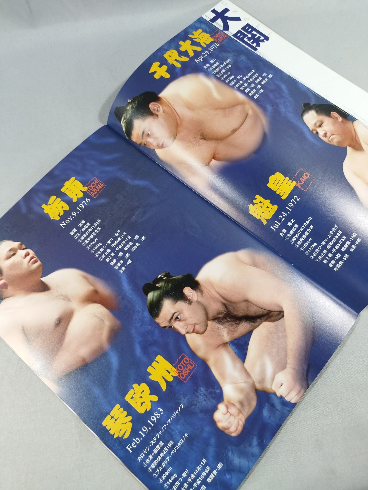 Japan Grand Sumo Tournament 30th