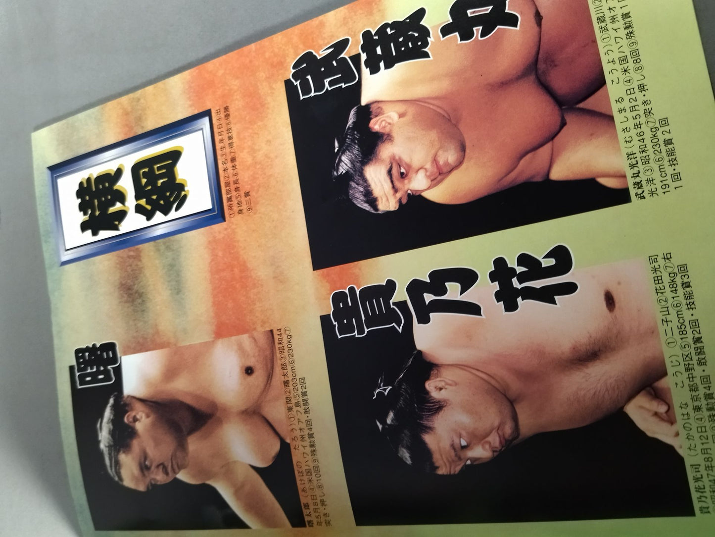 Heisei 12 Sumo Championship Match