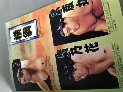Heisei 12 Sumo Championship Match