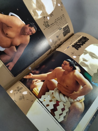 Heisei 7 Sumo Spring Tour