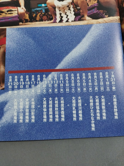 Heisei 10 Sumo Summer Tour