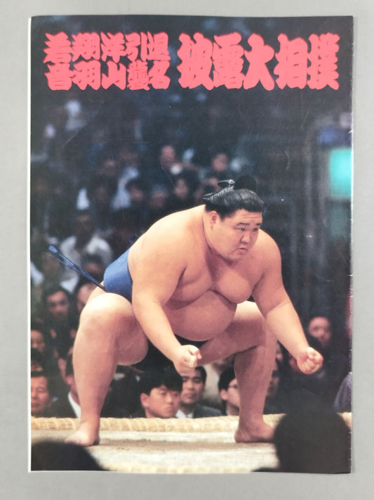 Shoyo Wakasho retired, Otowayama attack name show sumo list of matches