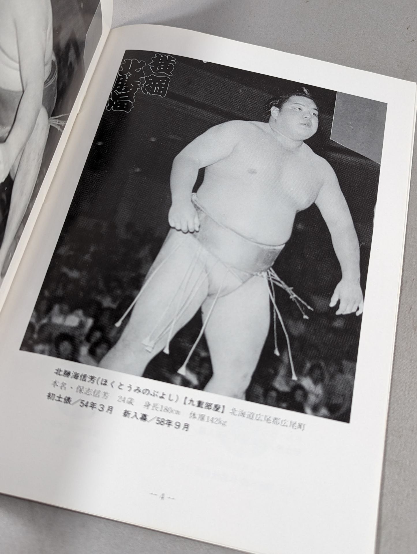 大相撲大安場所