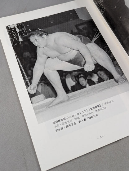 大相撲大安場所